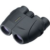 Leupold 59225 BX-1 Rogue Binoculars 10x25mm
