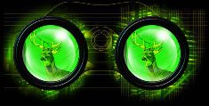 The Night Vision Store