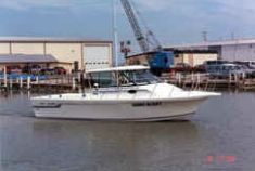 Lake Erie Fishing with Hawg Alert Charters - Ohio