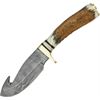 Damascus Knives 1008 Guthook Skinner Fixed Blade Knife with Genuine Stag Handles