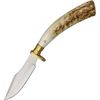 Steel Stag Knives 7017 Small Hunter Fixed Blade Knife with One Piece Round Design Stag Handles