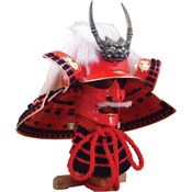 Paul Chen 2082 Takeda Shingen Helmet with Wood Display Stand