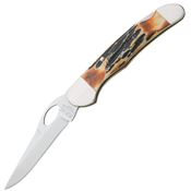 Bear & Son 5149L 3 3/4 inch Genuine India Stag Lockback Folding Pocket Knife