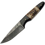 Damascus 1293SG Fixed Blade Buffalo/Stag