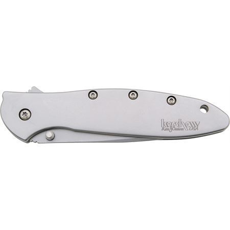 Kershaw 1660 Leek Assisted Opening Framelock Folding Pocket Knife with Bead Blasted Stainless Handles – Additional Image #4