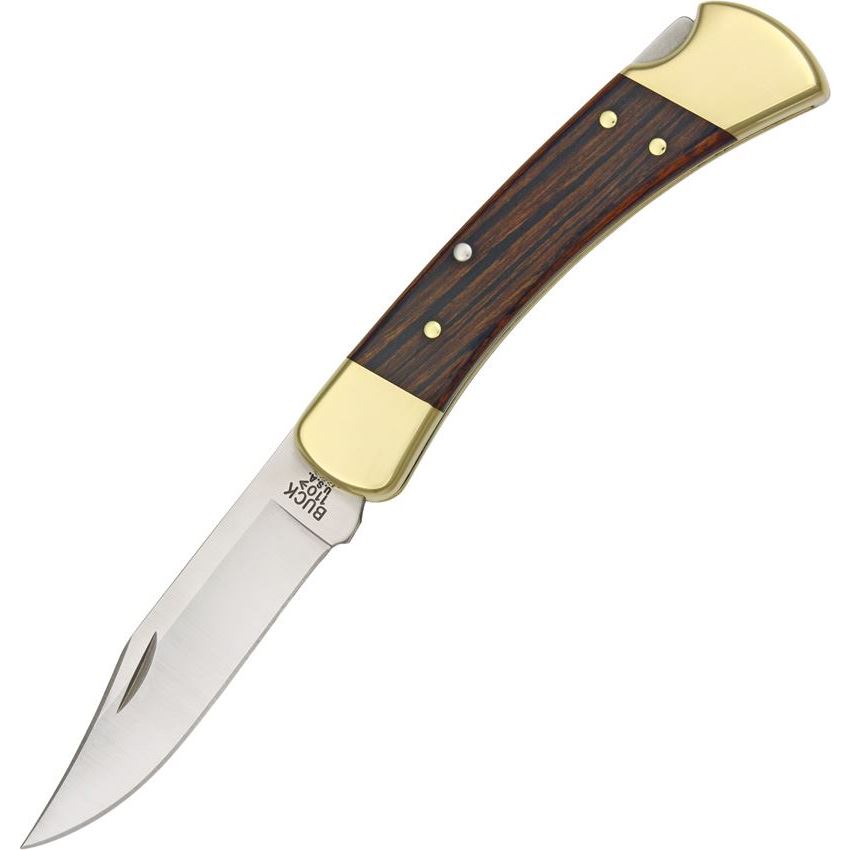 Buck 110BRSCB Model 110 Folding Hunter Lockback Pocket Knife