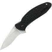 Kershaw 1620 Scallion Assisted Opening Linerlock Folding Pocket Knife