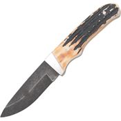 Bear & Son 549D Pro Skinner Fixed Damascus Drop Point Blade Knife with India Stag Bone Handle
