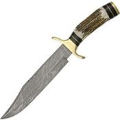 Damascus 1033 Iron Maiden Bowie Fixed Blade Knife