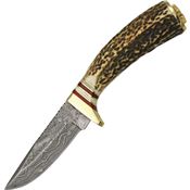 Damascus 1046 Whitetail Skinner Fixed Blade Knife with Round Design Stag Handle