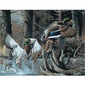 Tin Sign 1204 Ducks Unlimited Rich Vibrant Colors and Heavy Embossing Tin Sign