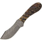 Damascus 1121 Rams Horn Skinner Fixed Blade Knife