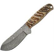 Damascus 1070 Big Game Skinner Ram Horn Fixed Blade Knife