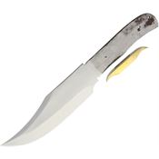 Blank 7716 Blade Clip Point Knife with Stainless Handle