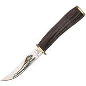 Case 17917 Buffalo Horn Pheasant Hunter Knife with Handle