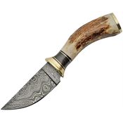 Damascus 1188 Skinner Damascus Steel Blade Knife with Stag Bone Handle