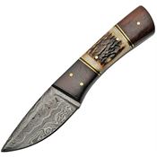 Damascus 1183 Fixed Damascus Steel Blade Knife with Stag Bone and Wood Handle