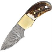 Fox-N-Hound Knives 121 Mini Skinner Damascus