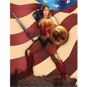 Tin Signs 2430 Wonder Woman