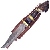 Hen & Rooster 0044DSD Bowie Damascus Fixed Blade Knife Deer Stag/Brass Handles