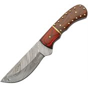 Damascus 1348 Studded Skinner Damascus Fixed Blade Knife Brown/Red Wood Handles
