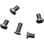 Flytanium 1284S Arcade Screw Set Satin TI