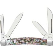 Case XX 12026 Small Congress Folding Knife Abalone Handles