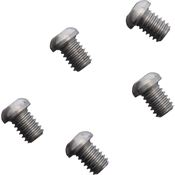 Flytanium 1180S Minimalist Screws Silver