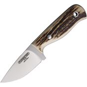 Forester 006CI Hobbit Satin Drop Point Fixed Blade Knife Stag Handles